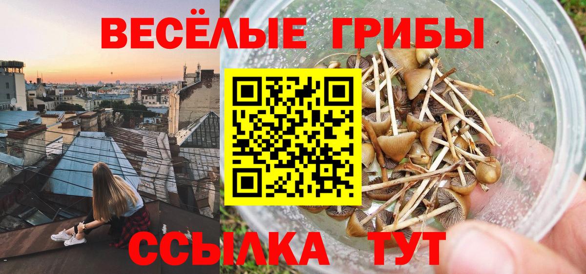Псилоцибиновые грибы MAGIC MUSHROOMS  Вход с VPN  Нефтеюганск 